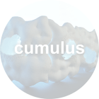 Cumulus